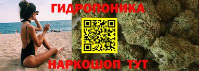 индика Канаш