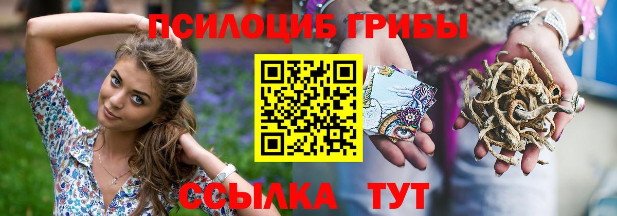 Галлюциногенные грибы Psilocybe  Вход с VPN  Галлюциногенные грибы Psilocybine cubensis  Красноярск 