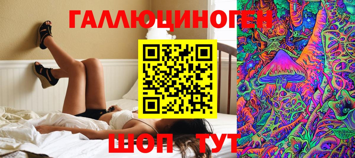 A PVP Красноярск